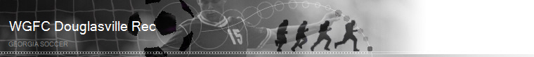 Georgia Soccer banner